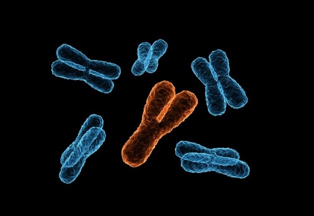 Y-Chromosome (Y-DNA) Haplogroups | Genoplot