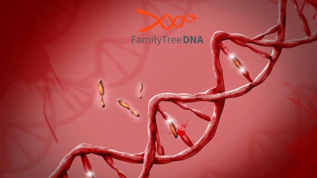 how-do-i-upload-my-ftdna-dna-relatives-data-genoplot